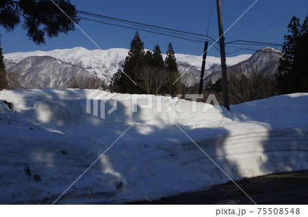 雪国魚沼 75508548