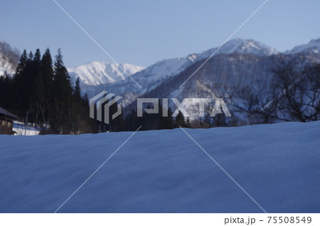 雪国魚沼 75508549
