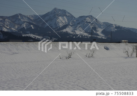 魚沼雪国 75508833