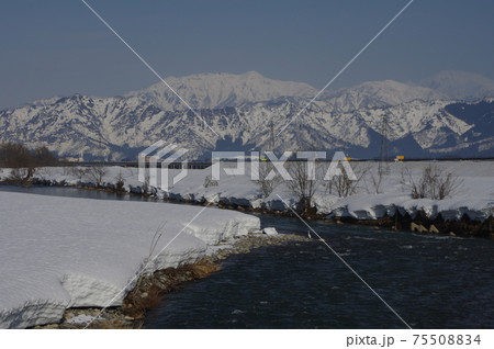 魚沼雪国 75508834