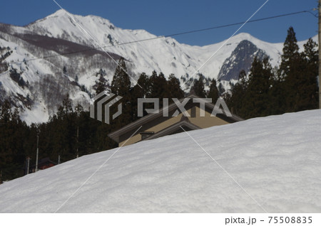 魚沼雪国 魚沼雪国 75508835