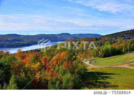 秋彩りカナダ・ローレンシャン高原紅葉 秋彩りカナダ・ローレンシャン高原紅葉 75508914