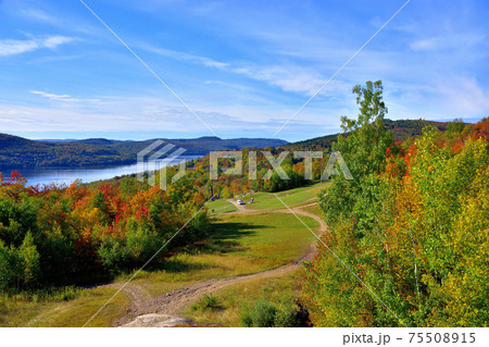 秋彩りカナダ・ローレンシャン高原紅葉 秋彩りカナダ・ローレンシャン高原紅葉 75508915