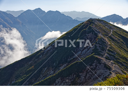 爺ヶ岳中峰から見る南峰と雲湧く針ノ木岳 75509306