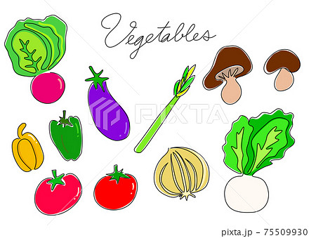 一筆書き 野菜03(カラー)トマト ピーマン かぶ アスパラガスなど 一筆書き 野菜03(カラー)トマト ピーマン かぶ アスパラガスなど 75509930
