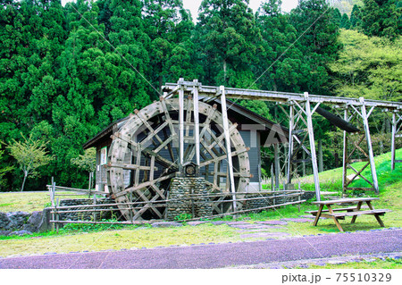 かずら橋 かずら橋 75510329