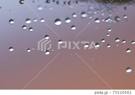 Partial blur view lines spider web necklace Partial blur view lines spider web necklace 75510501