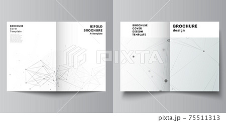 Vector layout of two A4 cover mockups templates for bifold brochure, flyer, magazine, cover design, book design. Gray technology background with connecting lines and dots. Network concept. Vector layout of two A4 cover mockups templates for bifold brochure, flyer, magazine, cover design, book design. Gray technology background with connecting lines and dots. Network concept. 75511313