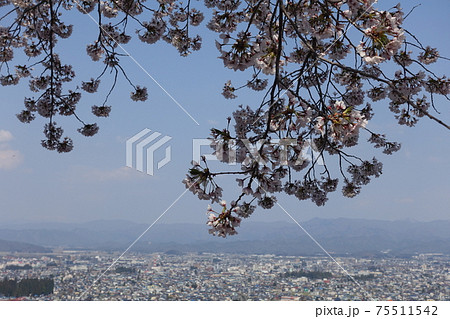 米沢市全景 御成山公園 米沢市全景 御成山公園 75511542