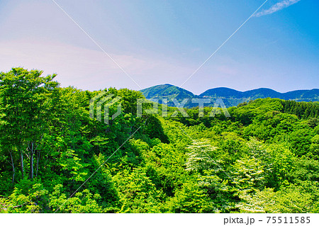 越知山 越知山 75511585