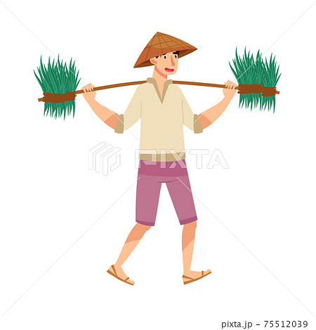 Vietnamese Man Farmer in Straw Conical Hat Carrying Bunch of Grass Blades as Rice Crop Vector Illustration Vietnamese Man Farmer in Straw Conical Hat Carrying Bunch of Grass Blades as Rice Crop Vector Illustration 75512039