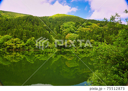 越知山・武周ヶ池 75512873