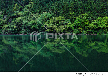 越知山・武周ヶ池 越知山・武周ヶ池 75512876