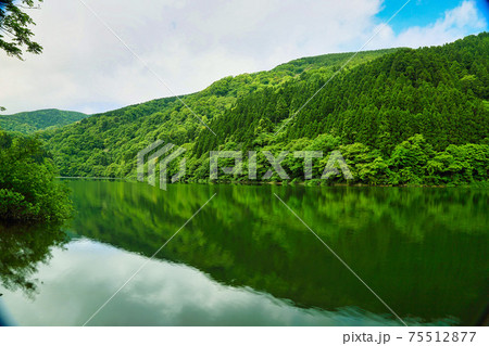 越知山・武周ヶ池 越知山・武周ヶ池 75512877