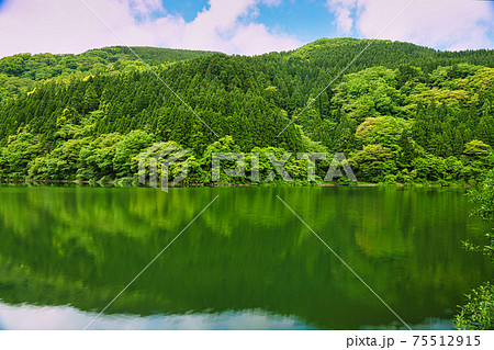 越知山・武周ヶ池 越知山・武周ヶ池 75512915