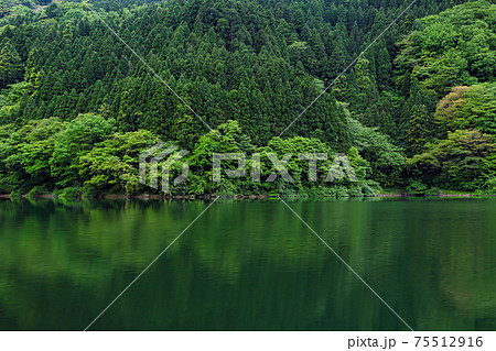 越知山・武周ヶ池 75512916