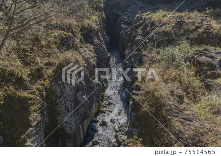 宮崎県の高千穂峡。 75514565