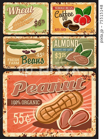 Beans, nuts and cereals vector rusty metal plates Beans, nuts and cereals vector rusty metal plates 75515148