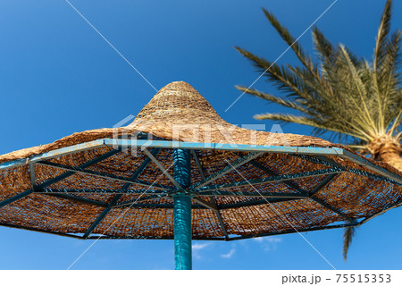 Closeup of a Straw Beach Umbrella on Clear Sky with a Palm Tree Closeup of a Straw Beach Umbrella on Clear Sky with a Palm Tree 75515353