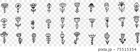 Natural flowers pattern doodle set Natural flowers pattern doodle set 75515354
