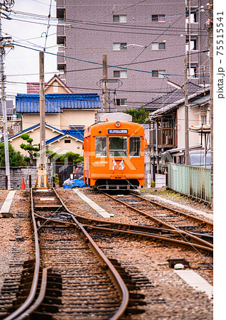 松山市、道後温泉、温泉、愛媛県　路面電車 75515541