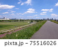 戸田橋から荒川土手を東に歩くと川口のビル群が見えます 75516026