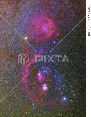 オリオン座と周辺の星雲 75516071