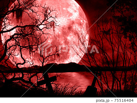 暗い森の夜と赤い満月の風景イラストのイラスト素材