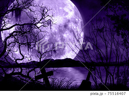 暗い森の夜と紫の満月の風景イラストのイラスト素材