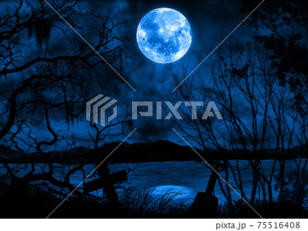 暗い森の夜と青い満月の風景イラストのイラスト素材