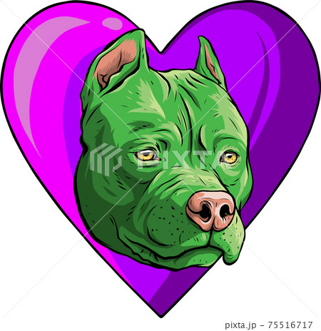 pitbull head dog in heart vector illustration 75516717