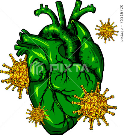 virus infect a human heart vector illustration virus infect a human heart vector illustration 75516720