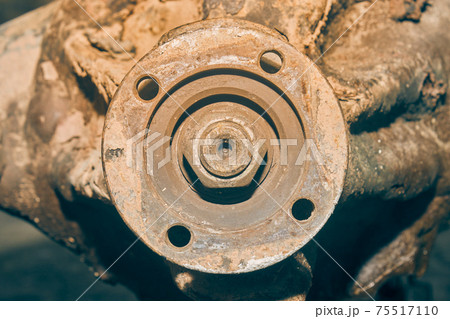 Front View Rear Differential Gearbox and Flange and Nut in Vintage Tone Front View Rear Differential Gearbox and Flange and Nut in Vintage Tone 75517110