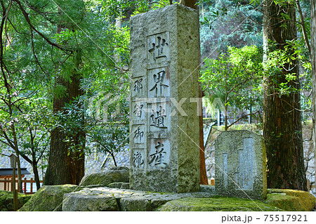 世界遺産の那智の滝 世界遺産の那智の滝 75517921
