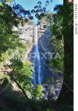 世界遺産の那智の滝 75517936