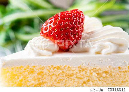 イチゴショートケーキ イチゴショートケーキ 75518315