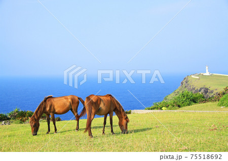 日本最西端　沖縄　与那国島　東崎の風景　与那国馬　 75518692