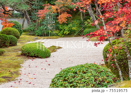 秋の禅を感じる枯山水の日本庭園の写真素材