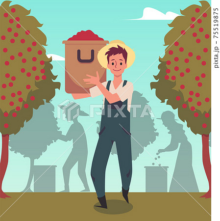 Coffee plantation worker with basket of coffee beans flat vector illustration. Coffee plantation worker with basket of coffee beans flat vector illustration. 75519875