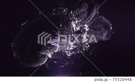 A professional dry microfiber rag for washing a car is dipped in water. Bottom view from under the water. Underwater view of towel. 75520448