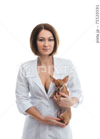 Sexually vet doctor woman on isolated white background with dog. Caucasian woman veterinarian medic with beautiful sexy bra. Sexually vet doctor woman on isolated white background with dog. Caucasian woman veterinarian medic with beautiful sexy bra. 75520591