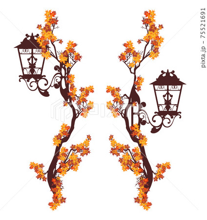 street light and autumn tree branches vertical borders vector design set 75521691