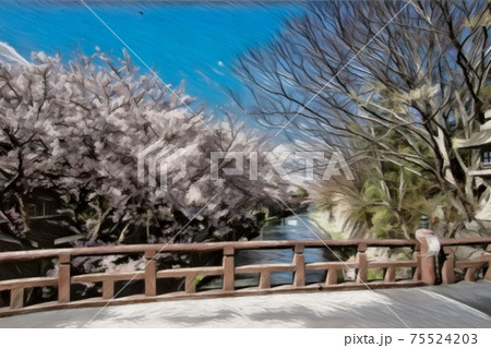 八幡堀の桜 八幡堀の桜 75524203