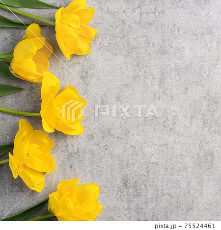 背景 バックグラウンド バックグランド 75524461