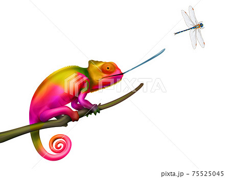 Chameleon Realistic Illustrationのイラスト素材