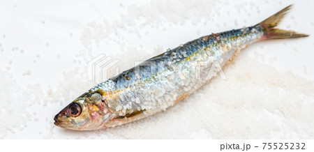 Whole raw organic mackerel fish with sea salt lying on a flat surface 75525232