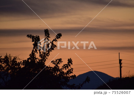 夕焼けに染まった空とシルエットたち 75526007