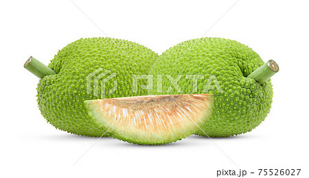 breadfruit on white background 75526027