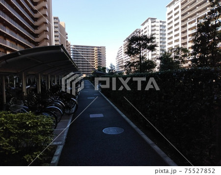 マンションの駐輪場 75527852