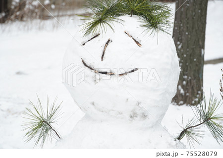 冬 雪だるま 目の写真素材